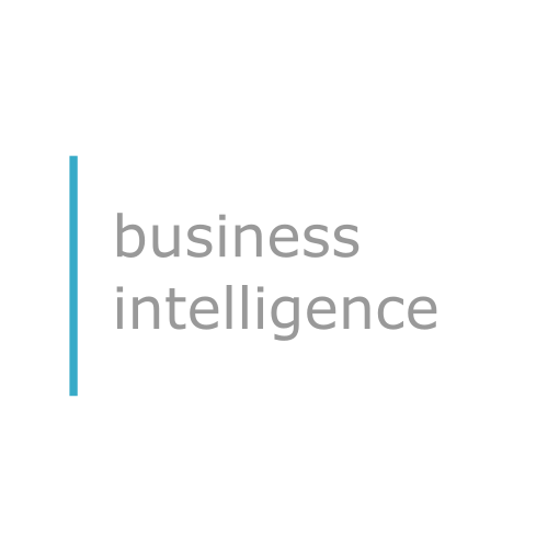 Business Intelligence